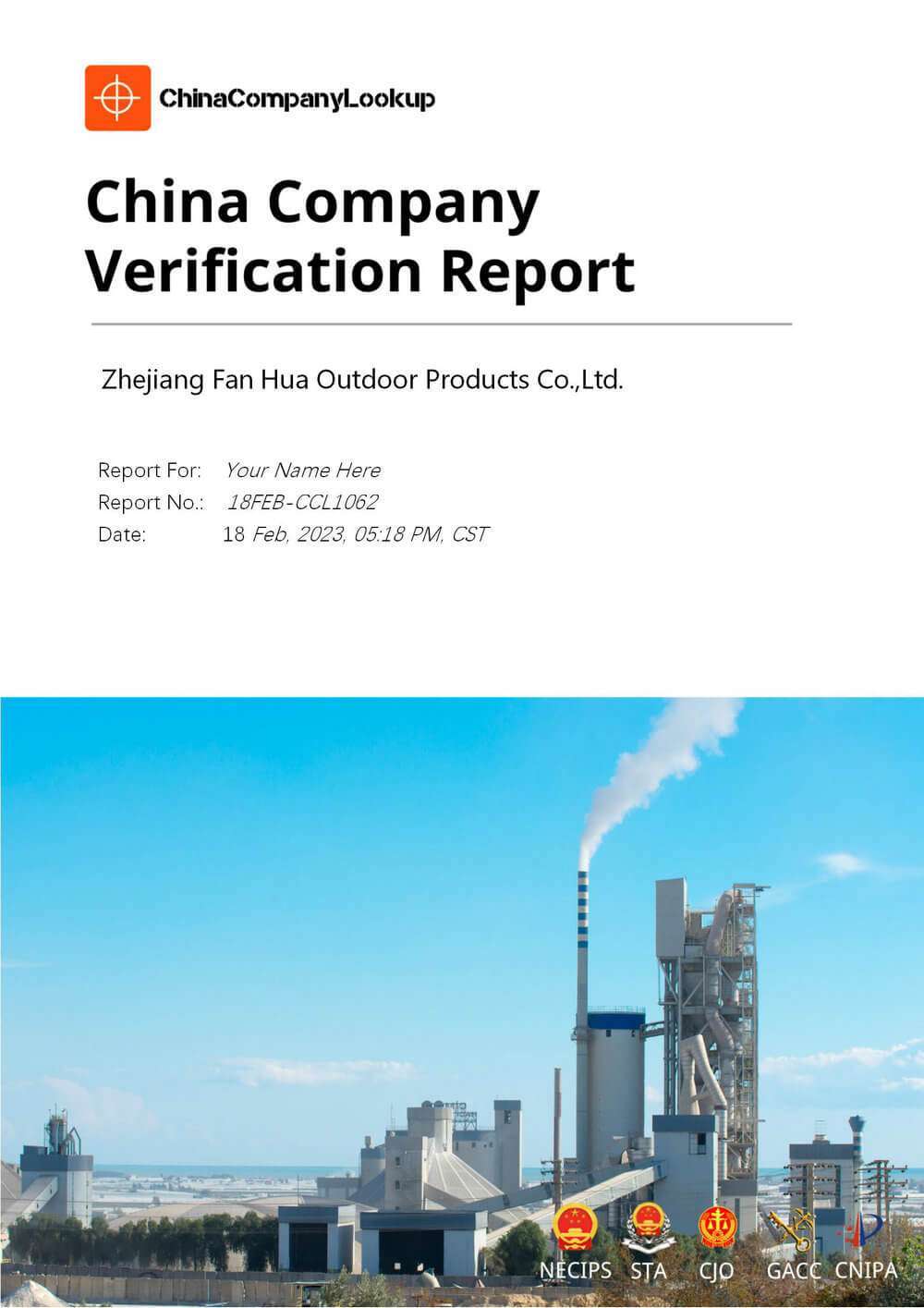 China company investigation report sample page 1